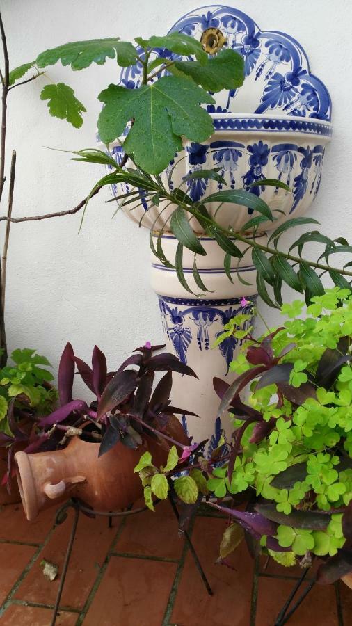 Patios Con Encanto Córdoba Exterior foto